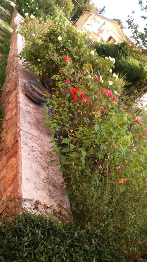 לינה וארוחת בוקר ויטוריו ונטו Da Caterina מראה חיצוני תמונה